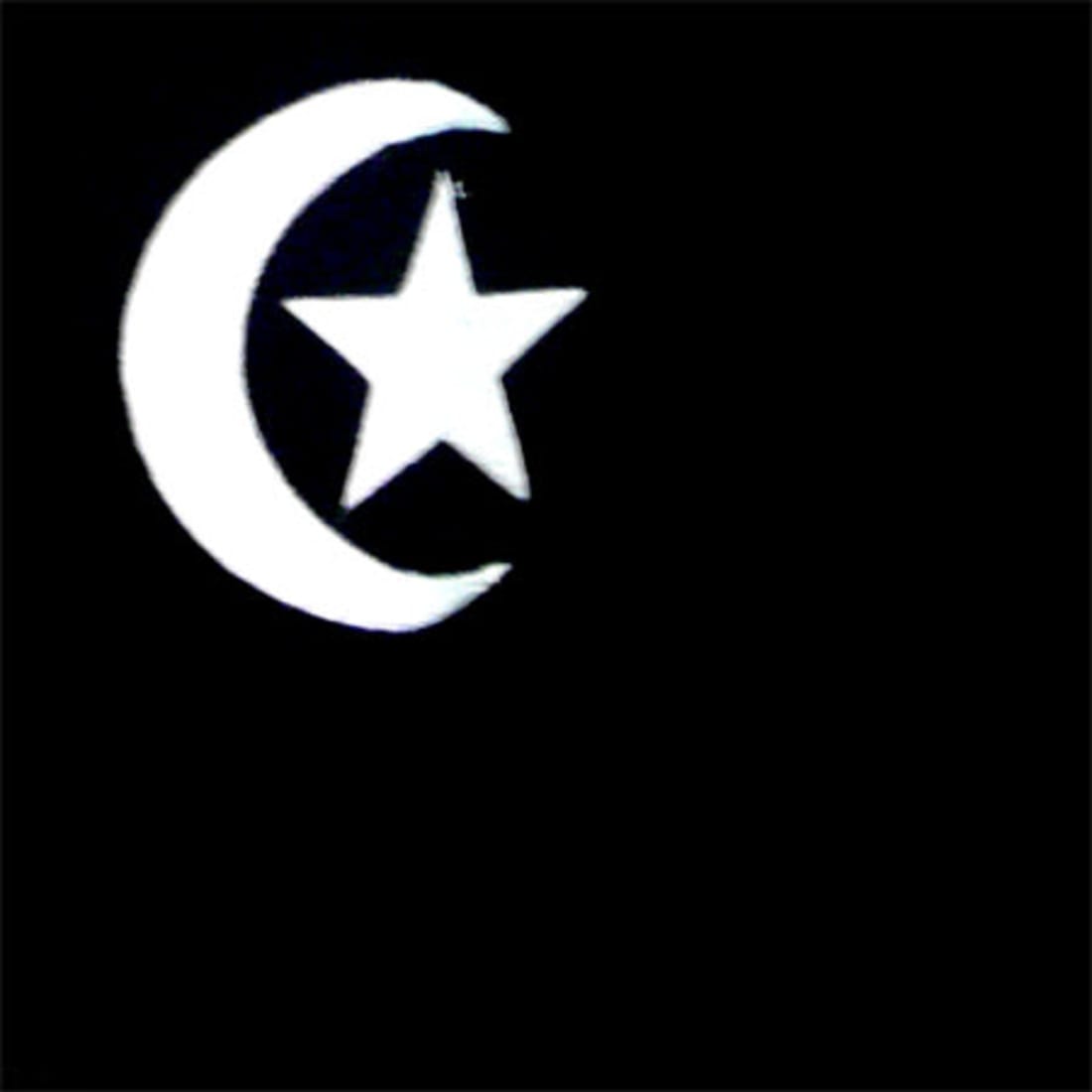 Maghreb United - Tee Shirt Maghreb United Drapeau Algerie ...