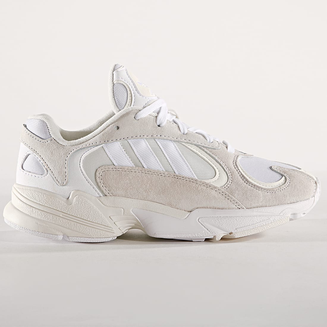 superstar adidas coloré