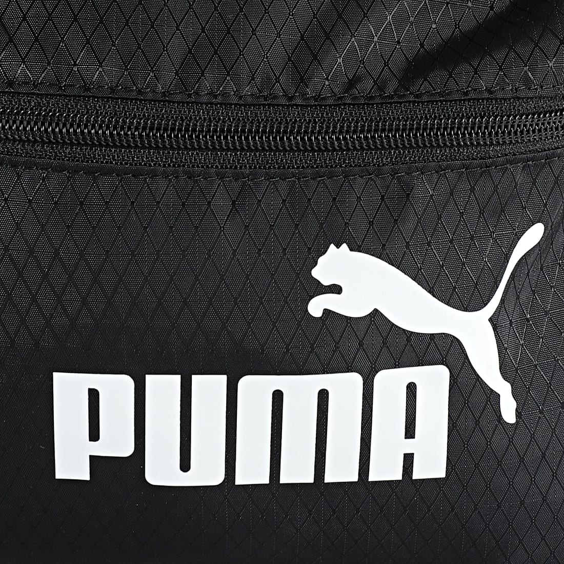 sac puma