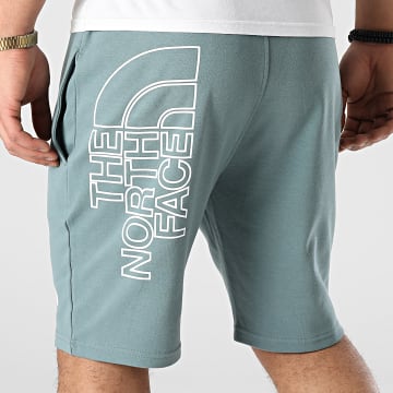  The North Face - Short Jogging Graphic Light A3S4F Vert
