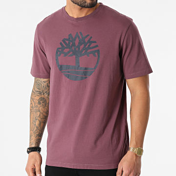  Timberland - Tee Shirt River Tree A2C2R Bordeaux
