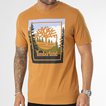  Timberland - Tee Shirt Outdoor Graphic A6F4K Camel