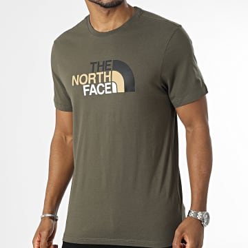  The North Face - Tee Shirt Easy A2TX3 Vert