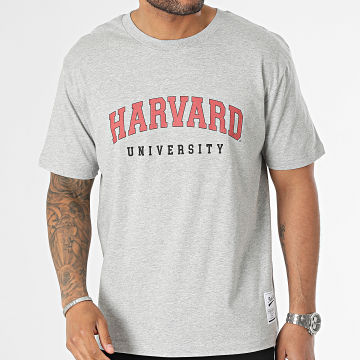  Classic Series - Tee Shirt Oversize Large Harvard Gris Chiné Blanc