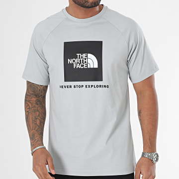  The North Face - Tee Shirt Raglan Redbox A87NJ Gris