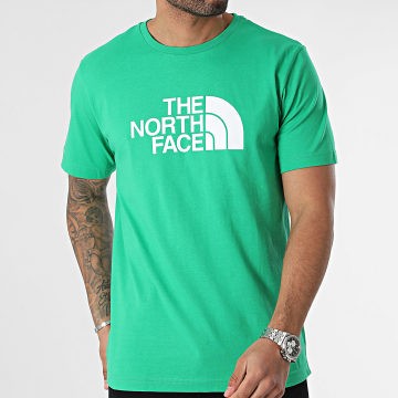 The North Face - Tee Shirt Easy A87N5 Vert