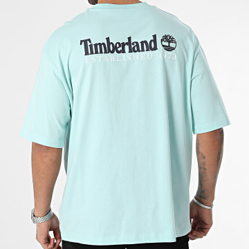 Timberland - Tee Shirt Oversize Design 2 SS A65H3 Bleu Clair