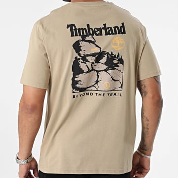 Timberland - Tee Shirt Design 4 SS A65JB Beige
