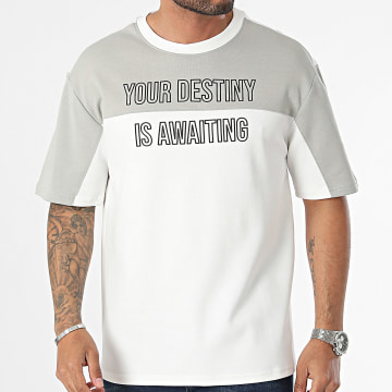 Classic Series - Camiseta Oversize Blanco Gris