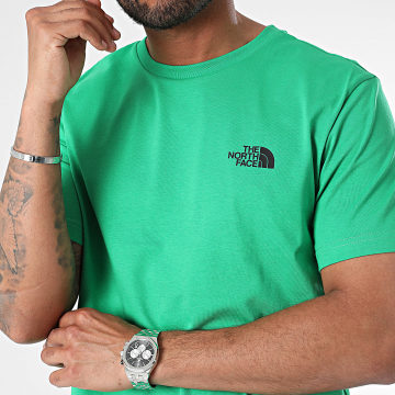 The North Face - Tee Shirt Simple Dome A87NG Vert