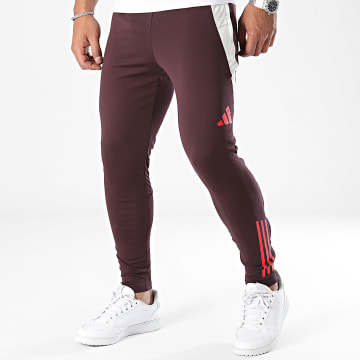 Adidas Sportswear - Pantalon Jogging FC Bayern Munich IS9939 Bordeaux