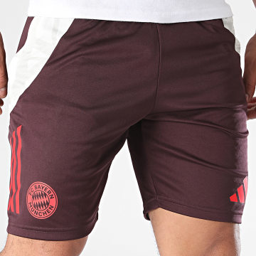 Adidas Sportswear - Short Jogging Bayern Munich IS9949 Bordeaux