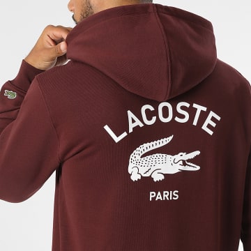 Lacoste - Sweat Capuche Logo Crocodile Bordeaux