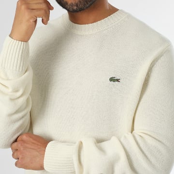 Prix pull lacoste homme outlet