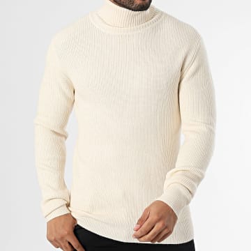 Frilivin - Pull Col Roulé Beige