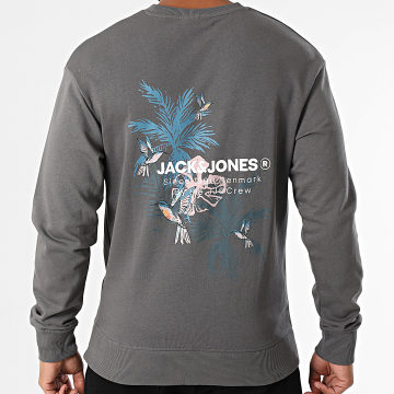 Jack And Jones - Sweat Crewneck Hawaii Gris Anthracite