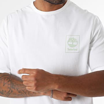 Timberland - Tee Shirt Boxes A2H4W Beige Clair