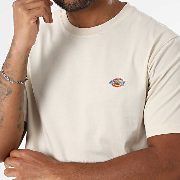 Dickies - Tee Shirt Mapleton A4XDB Beige