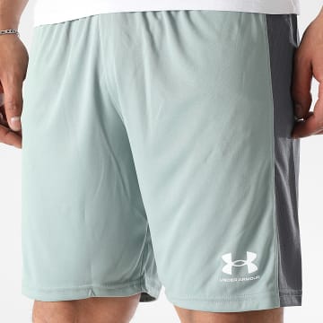 Under Armour - Pantalones cortos de jogging de punto 1379507 Gris antracita Verde