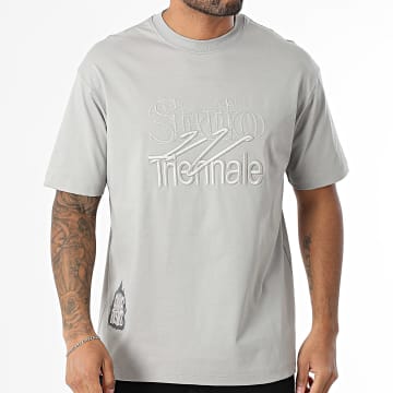 MTX - Camiseta oversize 751 Gris