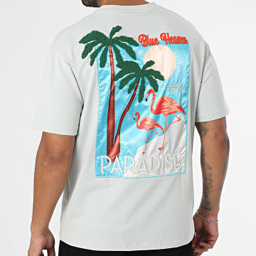 Classic Series - Tee Shirt Oversize G98 Gris Clair