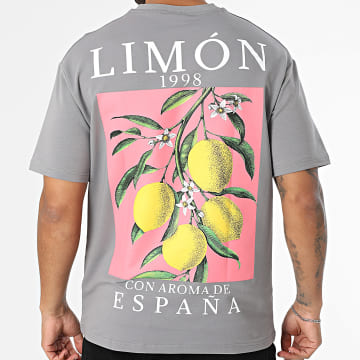 Classic Series - Tee Shirt Oversize 015 Gris