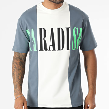 Classic Series - Tee Shirt Oversize 030 Beige Clair Gris Anthracite