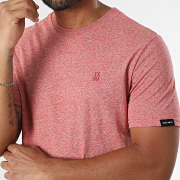 Teddy Smith - Tee Shirt Regular Fit Narvik 11017820D Rouge Chiné