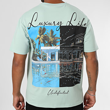 Classic Series - Camiseta oversize 044 Verde claro