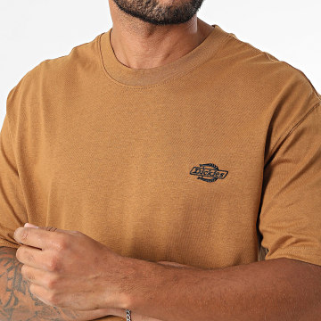 Dickies - Camiseta Summerdale A4YAI Camel
