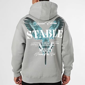 Classic Series - Sweat Capuche 504 Gris