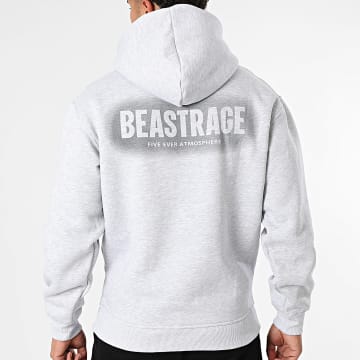 Classic Series - Sweat Capuche 019 Gris Chiné