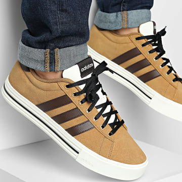 Adidas Performance - Zapatillas Daily 4.0 JI4352 Bronce Strata Marrón Oscuro Off White