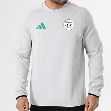Adidas Sportswear - Sweat Crewneck Fédération Algérienne Football JZ6255 Gris