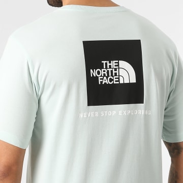 The North Face - Tee Shirt Evo Box A8B6K Vert Clair