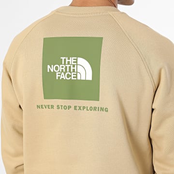 The North Face - Sweat Crewneck Raglan Redbox A89FA Beige