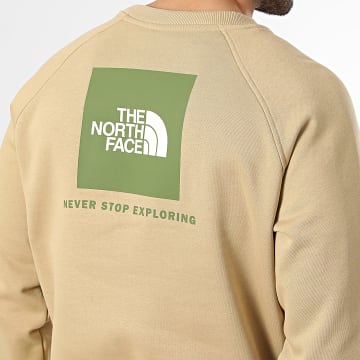 The North Face - Sweat Crewneck Raglan Redbox A89FA Beige