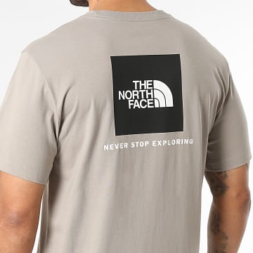 The North Face - Camiseta Evo Box A8B6K Gris