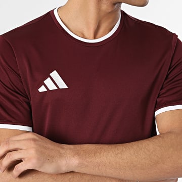 Adidas Sportswear - Tee Shirt ENT26 Jersey JZ2507 Bordeaux