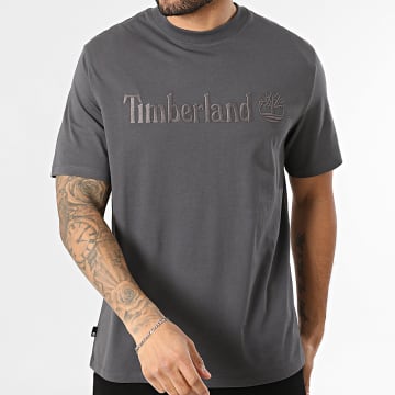 Timberland - T-Shirt A6VPE Antracietgrijs