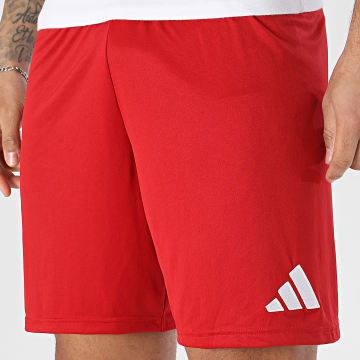 Adidas Sportswear - Short Jogging ENT26 JZ2517 Rouge Blanc