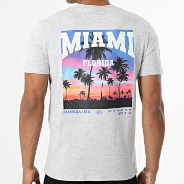 Classic Series - Tee Shirt Miami Gris Chiné