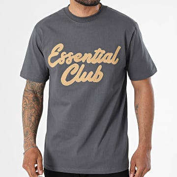 Classic Series - Tee Shirt 197 Gris Anthracite