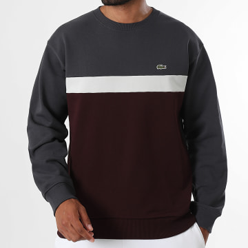 Lacoste - Sweat Crewneck Classic Fit Logo Brodé Crocodile Gris Anthracite Bordeaux Gris Clair