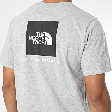 The North Face - T-Shirt Evo Box A8B6K Lichtgrijs Gemêleerd