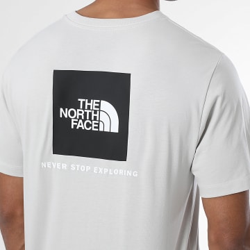 The North Face - T-Shirt Evo Box A8B6K Lichtgrijs