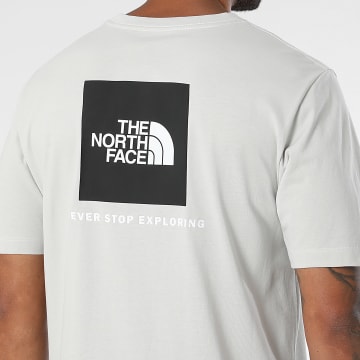 The North Face - T-Shirt Evo Box A8B6K Hellgrau