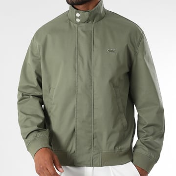 Lacoste - Chaqueta Cremallera Cuello Alto Logo Bordado Cocodrilo Verde Kaki