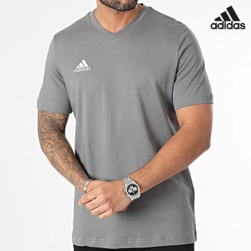 Adidas Sportswear - Tee Shirt Col V Ent22 HC0449 Gris