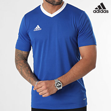 Adidas Performance - Camiseta cuello pico Ent22 HG6283 Azul real